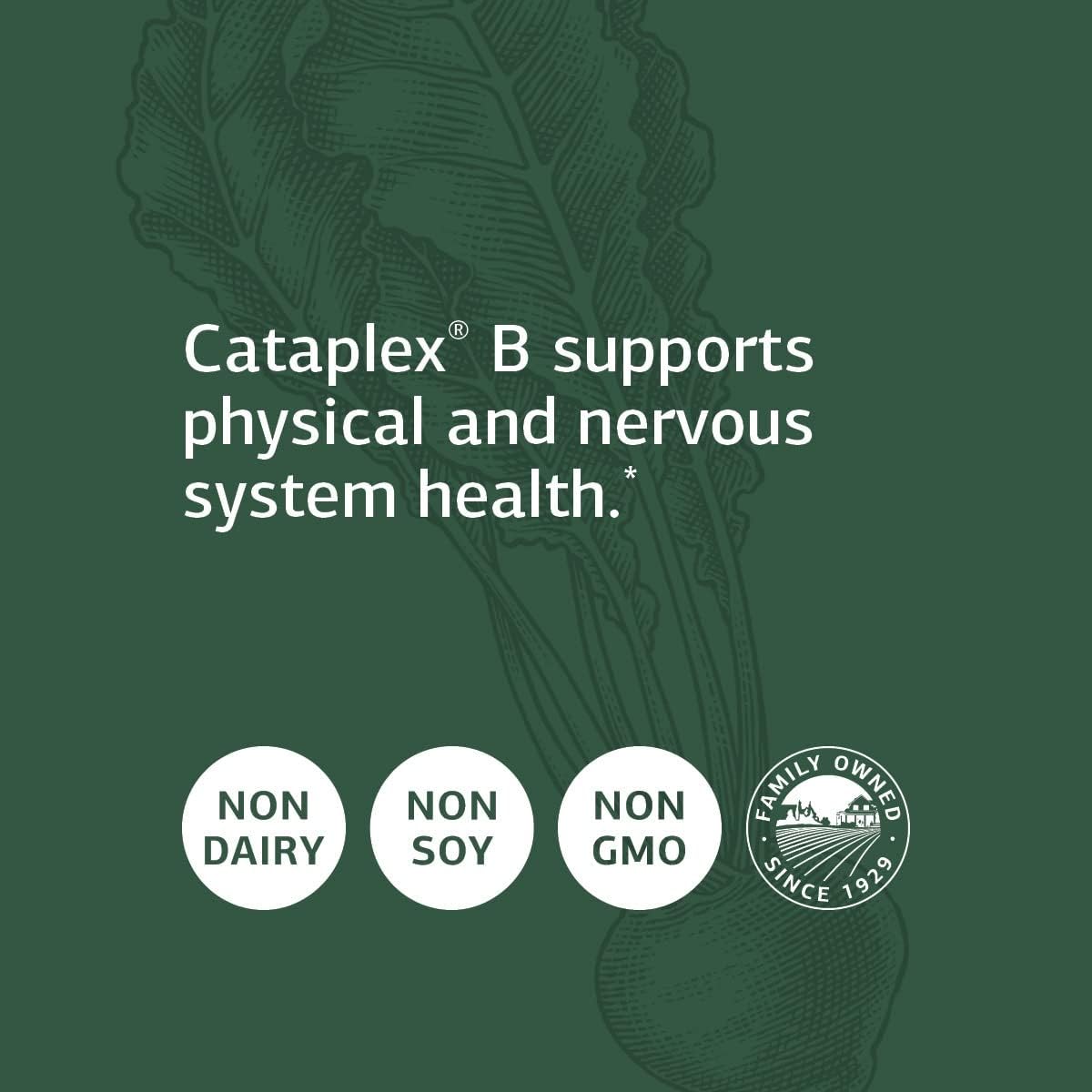 Standard Process Cataplex B - Whole Food Formula for Heart Health, Metabolism, and Cholesterol - 360 Tablets