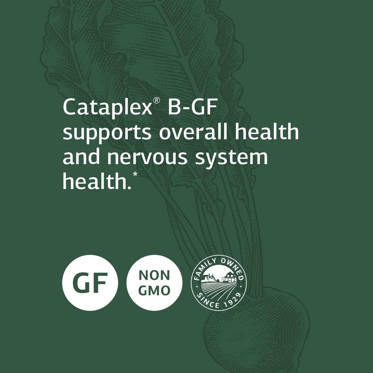 Standard Process Cataplex B GF - Gluten-Free Whole Food Formula for Metabolic, Cardiovascular, and Nervous System Health - 360 Tablets