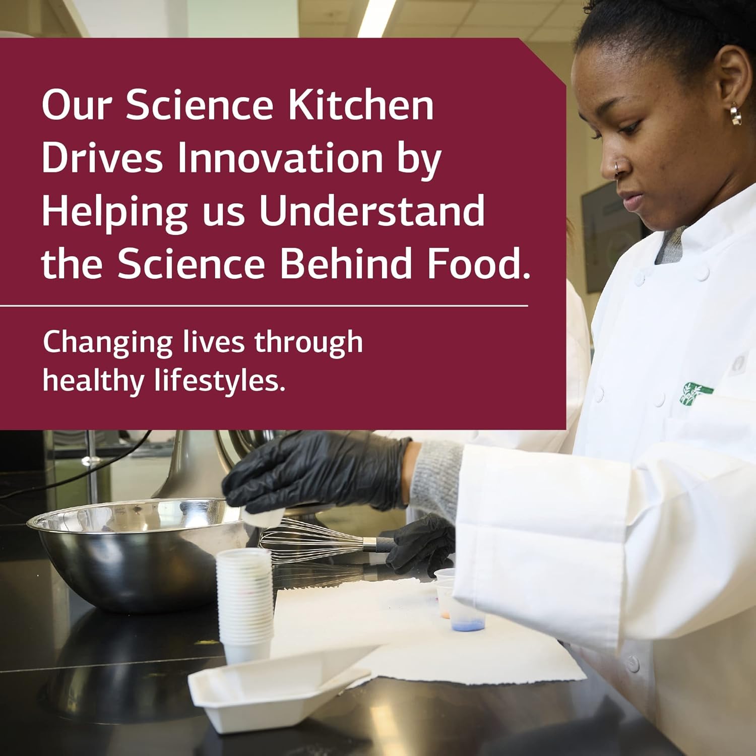 Standard Process Cataplex B GF - Gluten-Free Whole Food Formula for Metabolic, Cardiovascular, and Nervous System Health - 360 Tablets