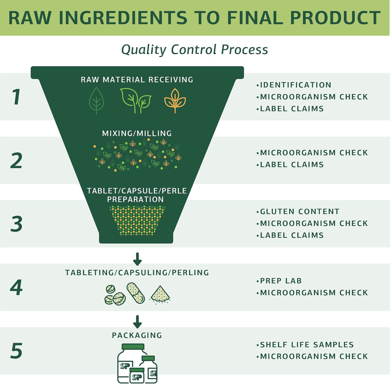 Standard Process Cataplex B GF - Gluten-Free Whole Food Formula for Metabolic, Cardiovascular, and Nervous System Health - 360 Tablets