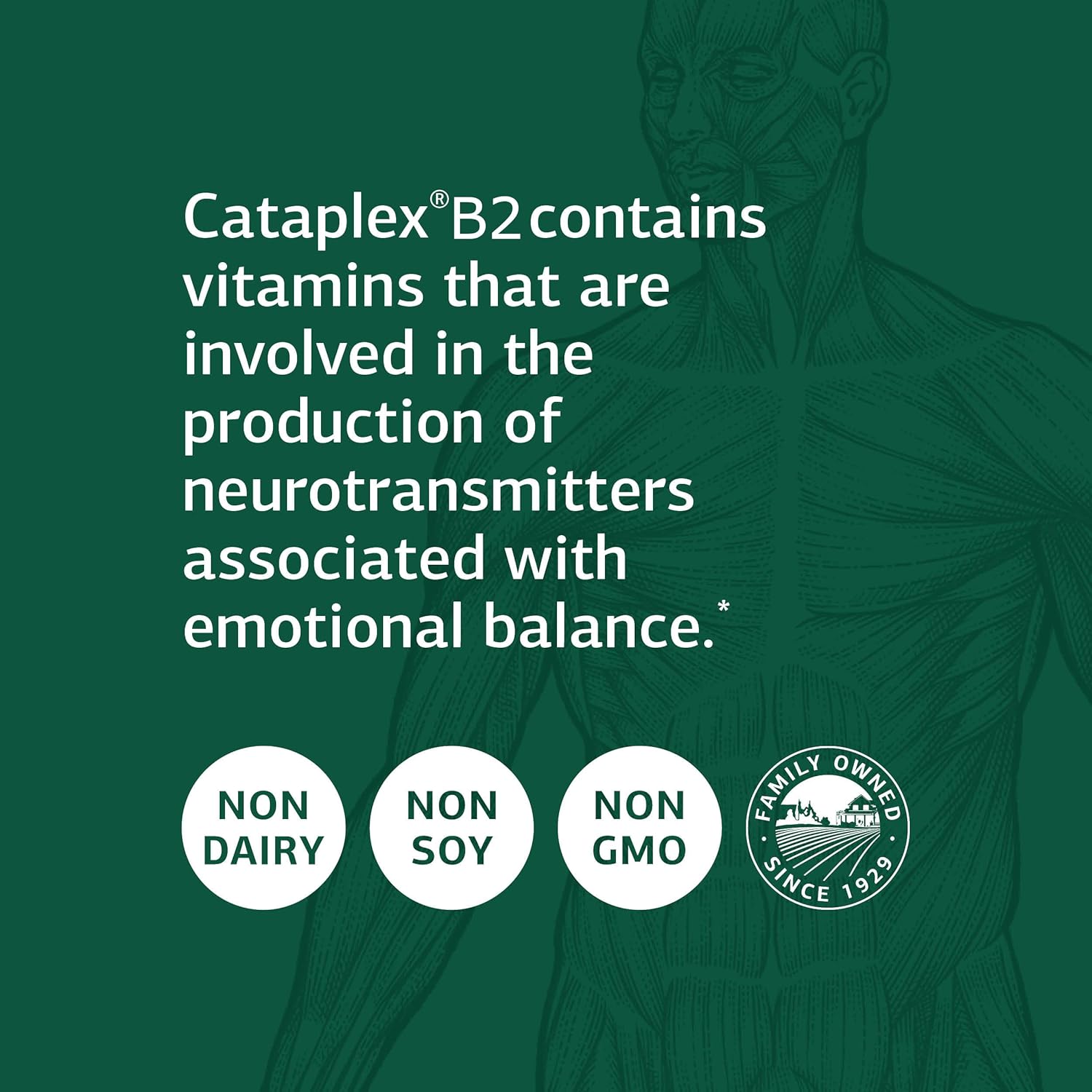 Standard Process Cataplex B2 - Whole Food Nervous System Support Supplement with Calcium, Riboflavin, Choline - 360 Tablets