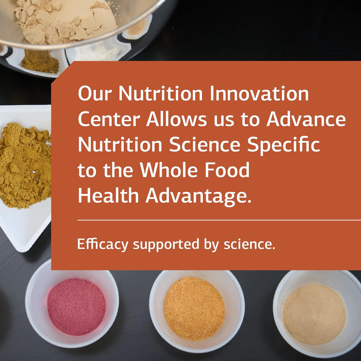 Standard Process Cataplex B2 - Whole Food Nervous System Support Supplement with Calcium, Riboflavin, Choline - 360 Tablets