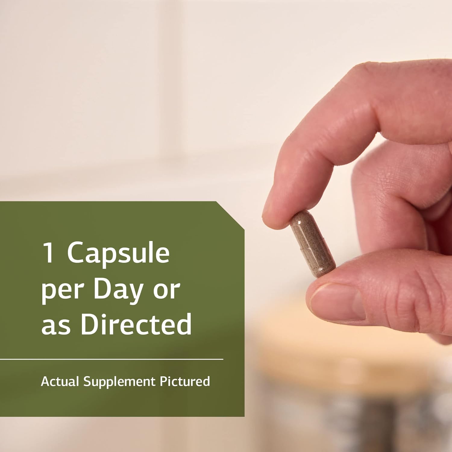 Standard Process OPC Synergy Capsules - Natural Cognitive and Brain Health Support with Bilberry, Grape Seed Extract, and Green Tea Powder - 40 Count