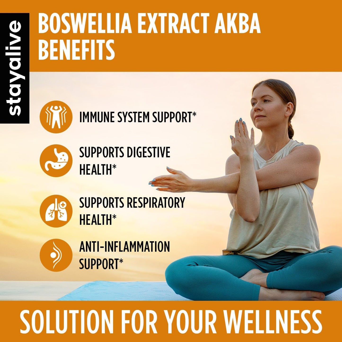 StayAlive Boswellia Serrata Extract Capsules - 1000mg with AKBA - 120 Count - Non-GMO Gluten-Free Supplement