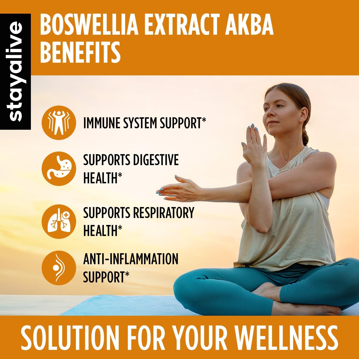 StayAlive Boswellia Serrata Extract Capsules - 1000mg with AKBA - 120 Count - Non-GMO Gluten-Free Supplement