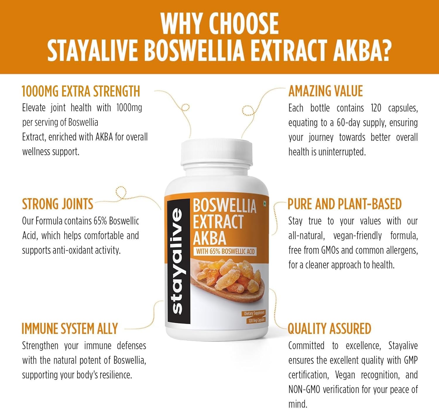 StayAlive Boswellia Serrata Extract Capsules - 1000mg with AKBA - 120 Count - Non-GMO Gluten-Free Supplement
