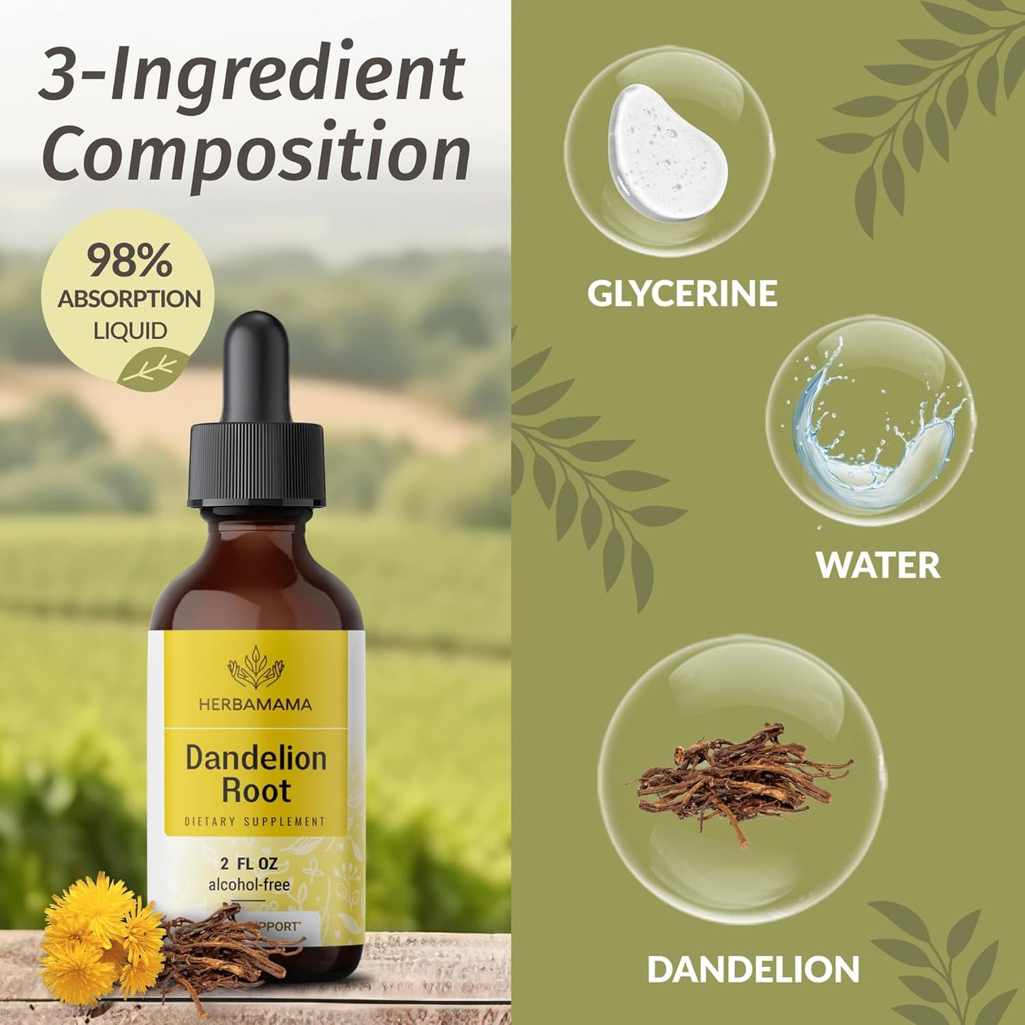 Stinging Nettle & Dandelion Root Herbal Liquid Drops Kit - 2 fl oz Bundle - Vegan, Non-GMO, Sugar & Alcohol-Free - 2 Pack