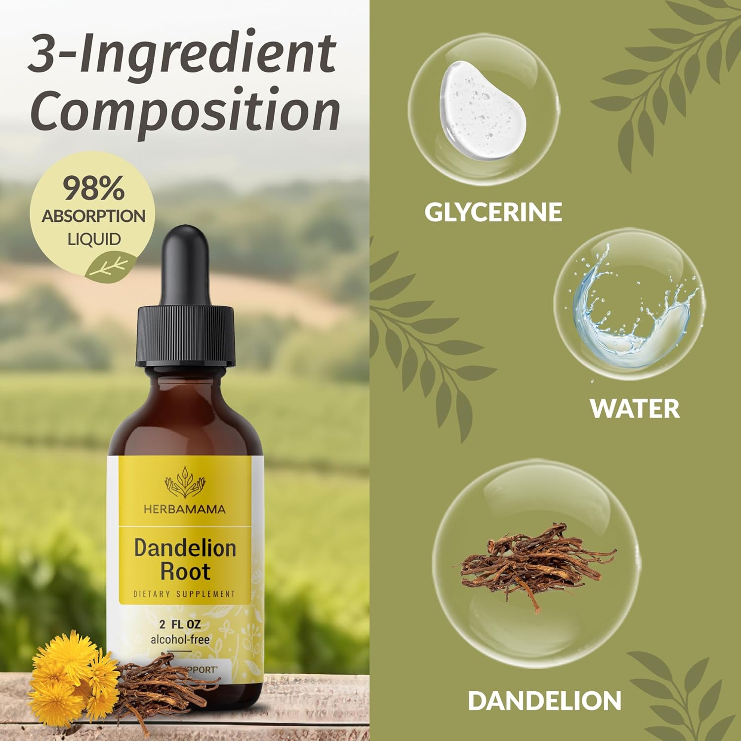 Stinging Nettle & Dandelion Root Herbal Liquid Drops Kit - 2 fl oz Bundle - Vegan, Non-GMO, Sugar & Alcohol-Free - 2 Pack
