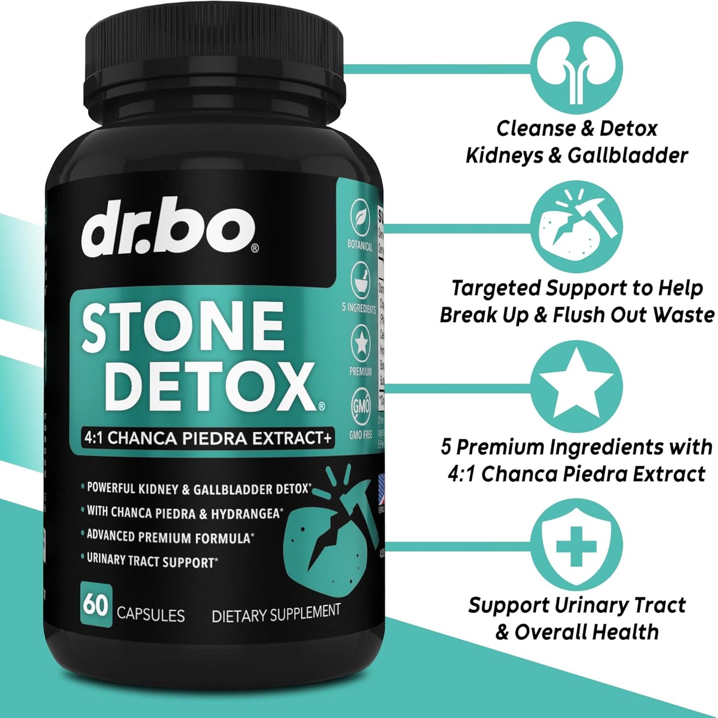 Stone Breaker Chanca Piedra Gallbladder Cleanse - Kidney & Gallbladder Detox with Ox Bile & Betaine HCL - Gallstone Dissolver Liver Flush