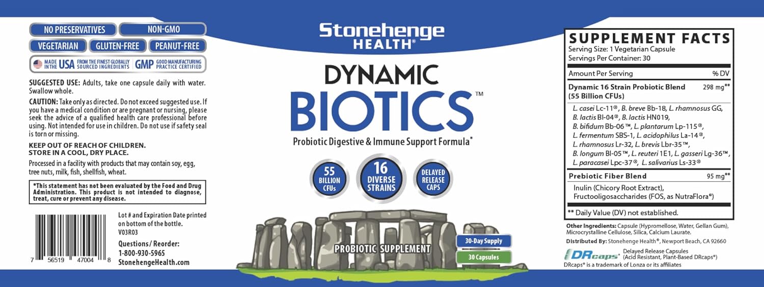 Stonehenge Health Dynamic Biotics Probiotic, Dynamic Brain, and Turmeric Bundle for Energy, Joints, Digestion, and Cognitive Support
