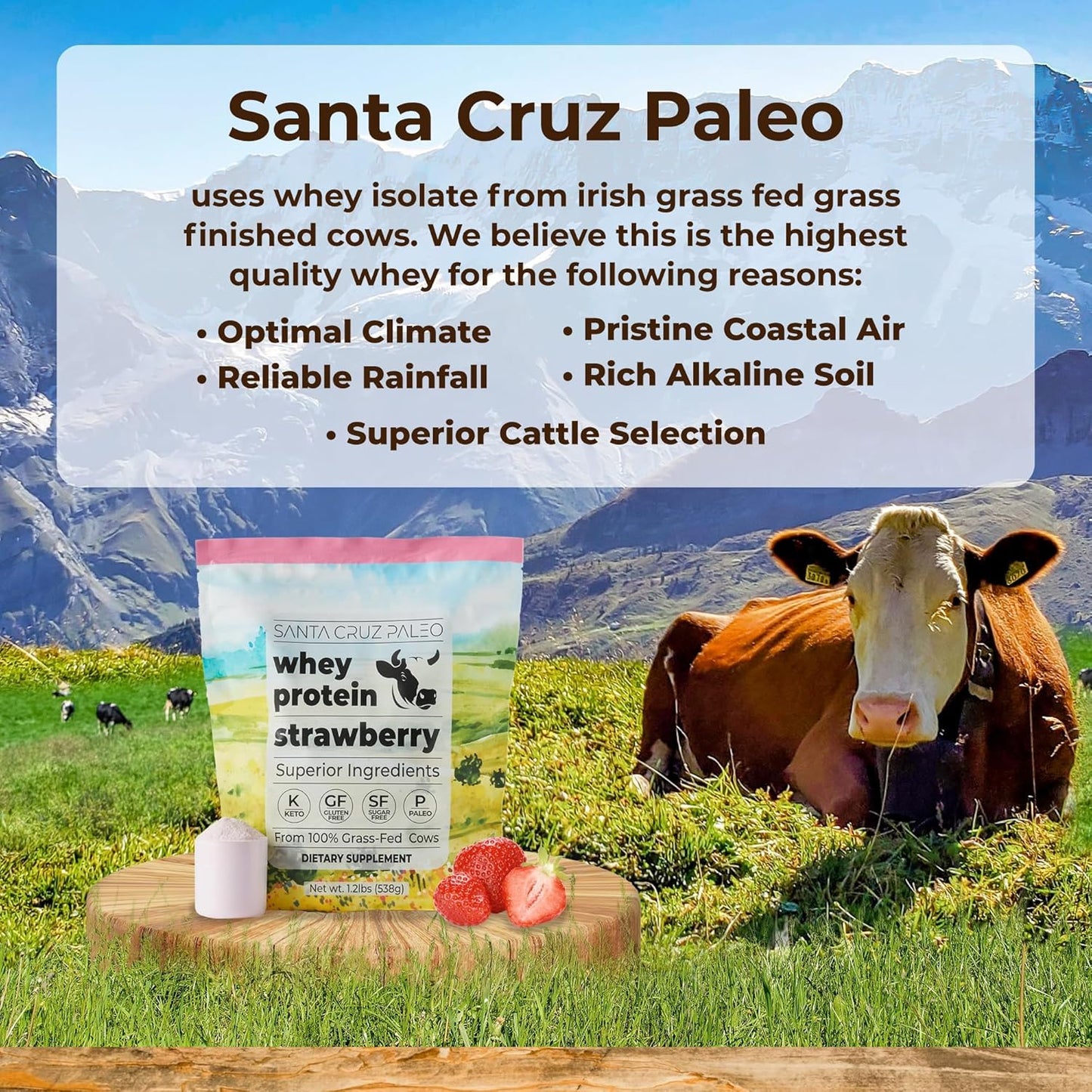 Strawberry Santa Cruz Paleo Whey Protein Powder - 20g Grass Fed Whey Isolate, Gluten Free, Keto, Sugar Free - Natural Muscle Support Post Workout - 20 Servings, 1.2lb Bag