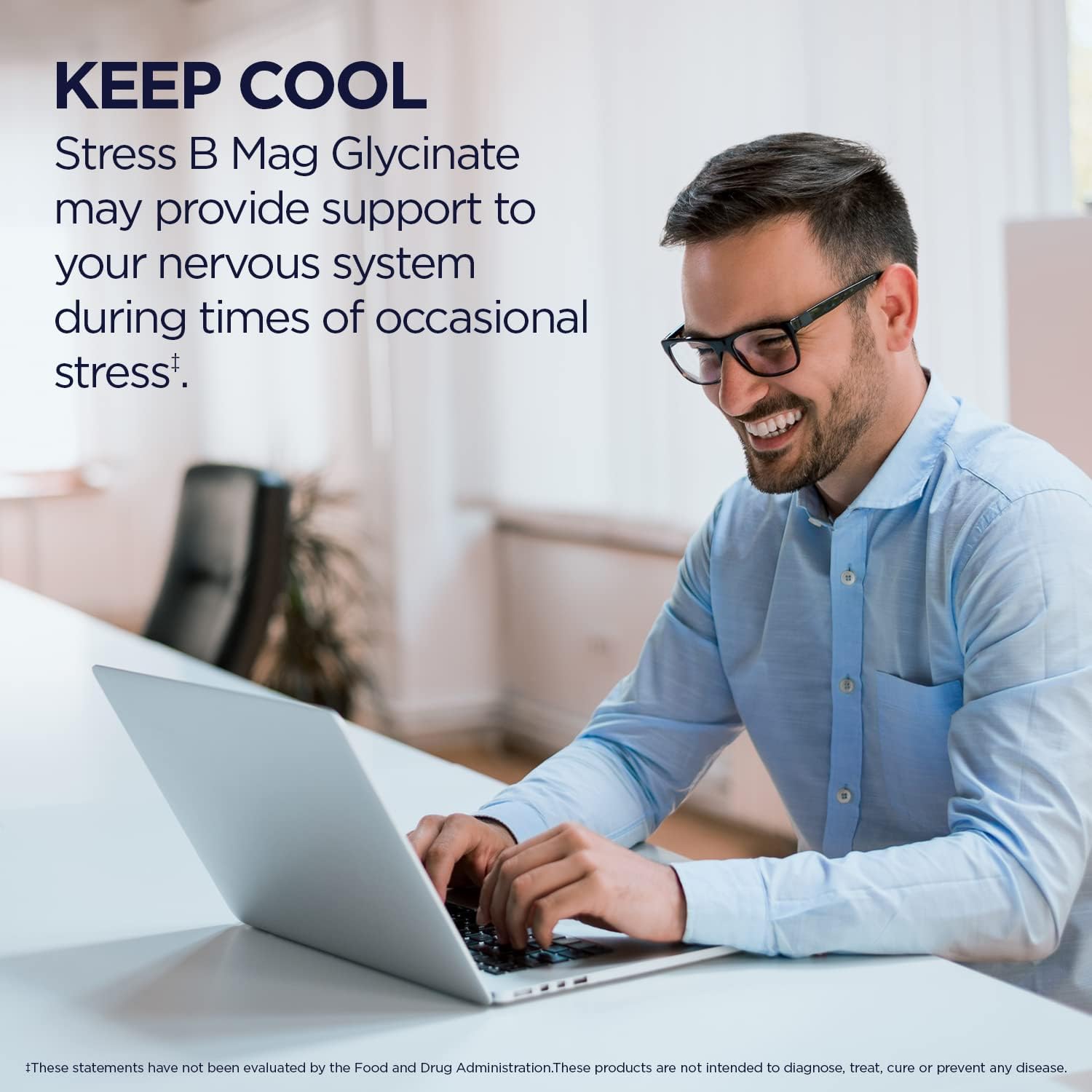 Stress B Complex with Magnesium, Coenzyme B-6, Methylcobalamin, and Folate, Mood & Relaxation Support, 60 VegCaps