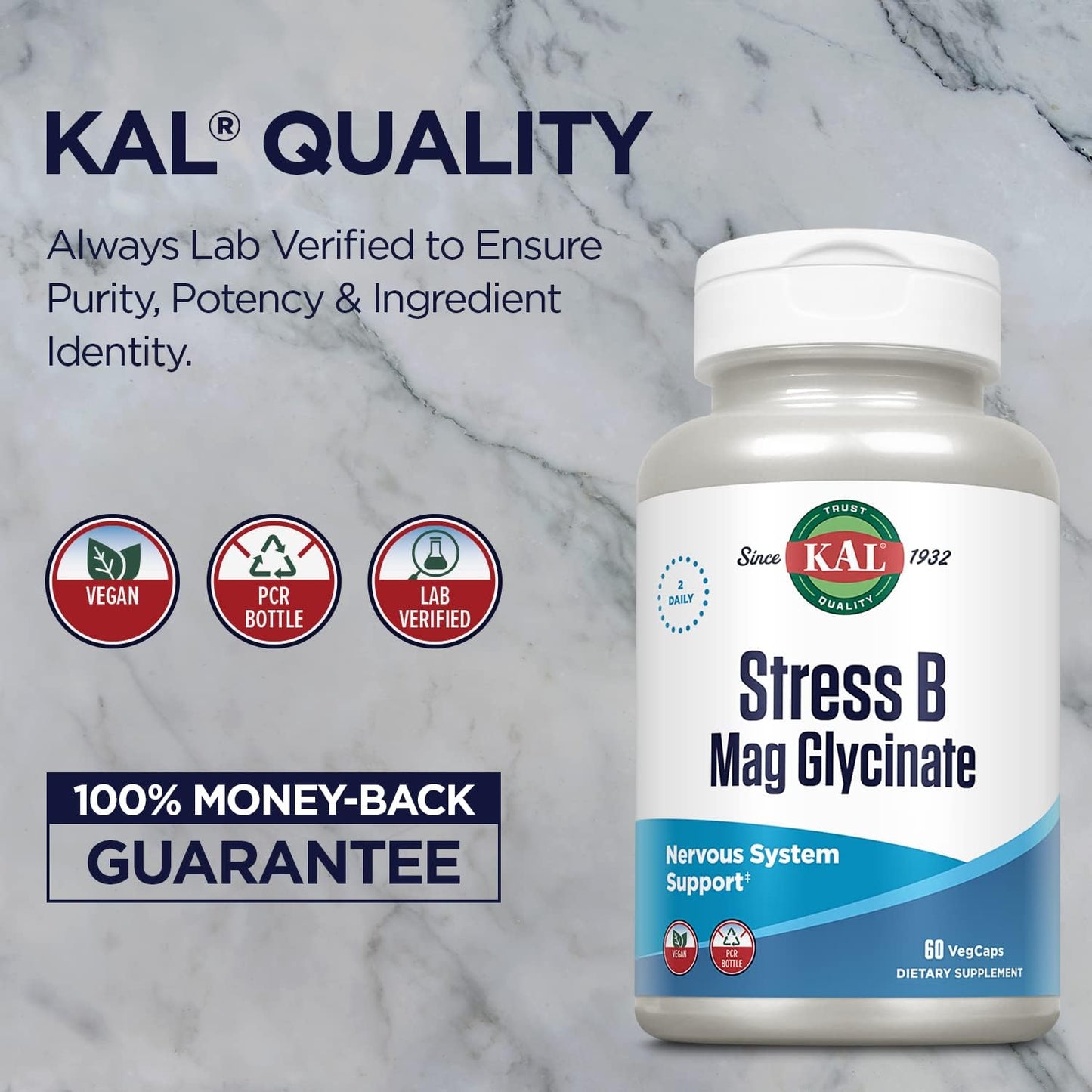 Stress B Complex with Magnesium, Coenzyme B-6, Methylcobalamin, and Folate, Mood & Relaxation Support, 60 VegCaps