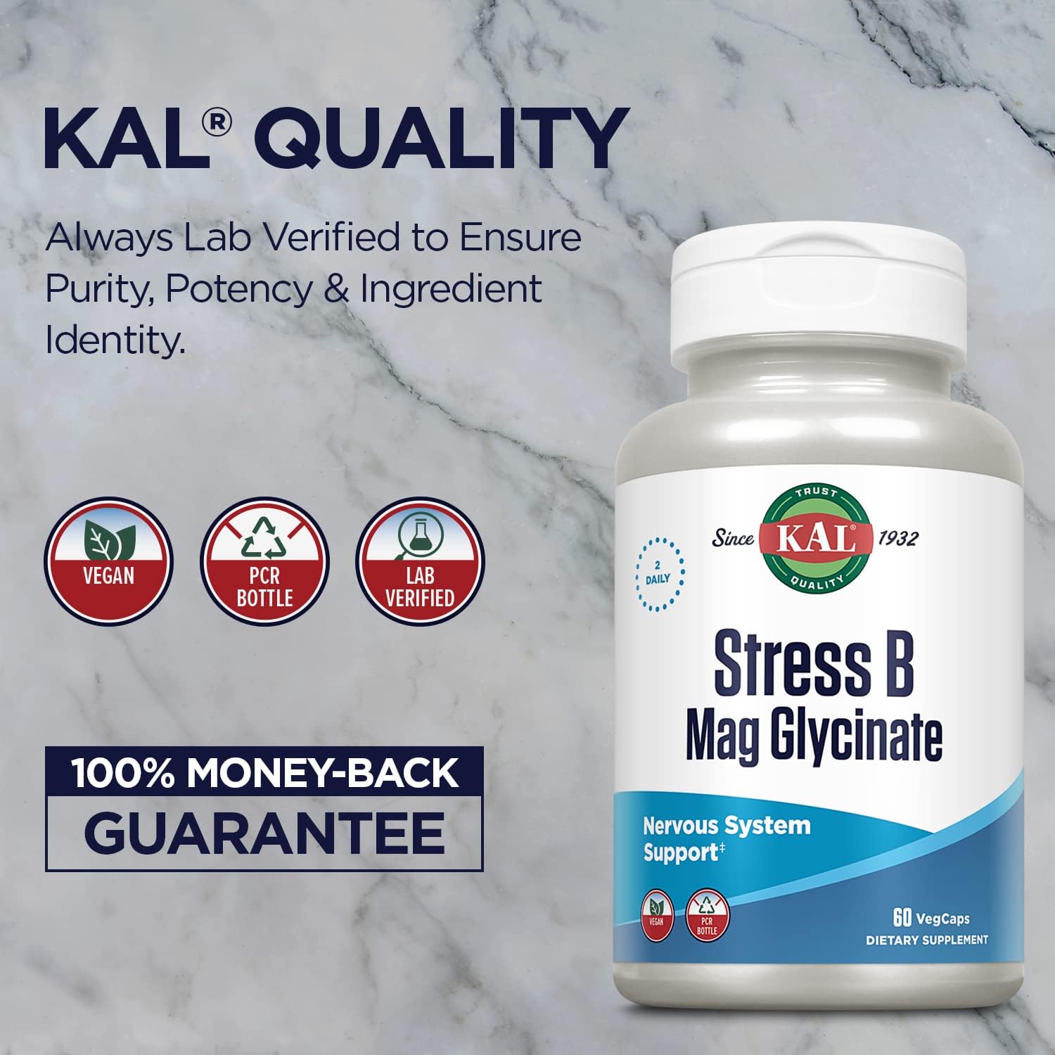 Stress B Complex with Magnesium, Coenzyme B-6, Methylcobalamin, and Folate, Mood & Relaxation Support, 60 VegCaps