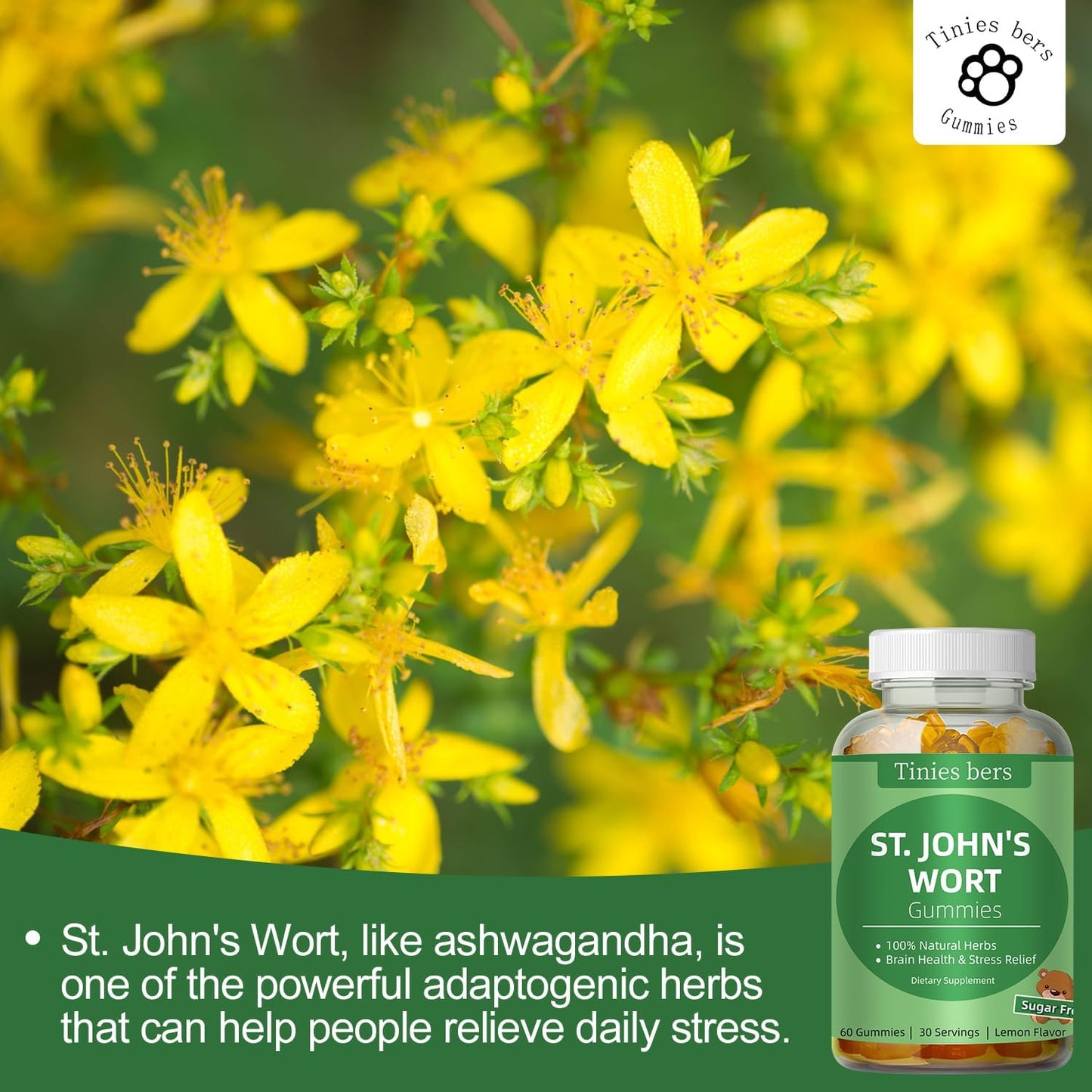 Stress Relief St John's Wort Gummies 500mg, Sugar-Free Brain Support for Adults & Kids - Non-GMO, Vegan, Gluten-Free Pectin Gummies (60 Count)