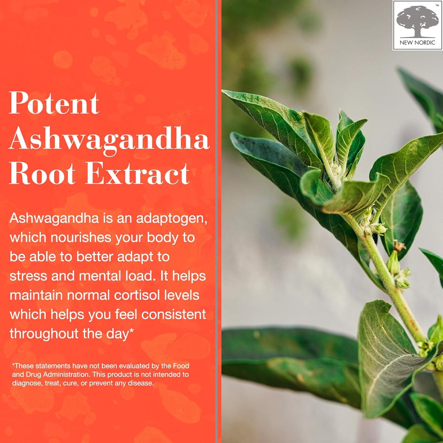 Sugar-Free Ashwagandha Gummies - 300mg Extract - Adaptogens for Men & Women - Mango Peach Flavor - 60 Count