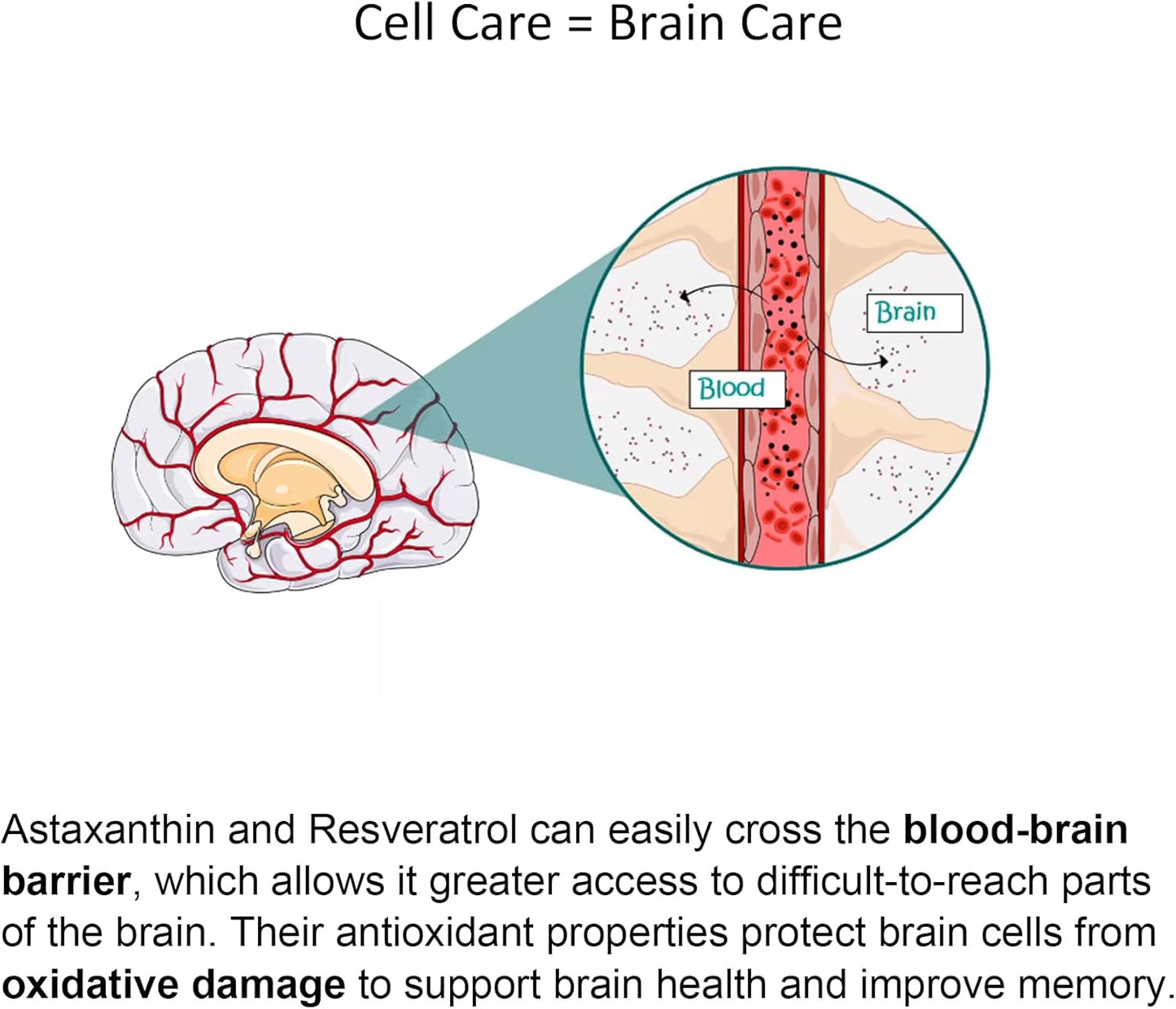 Sugar-Free Astaxanthin Gummies with Resveratrol - Antioxidant Supplement for Healthy Aging - Vegan, Non-GMO - 60 Count