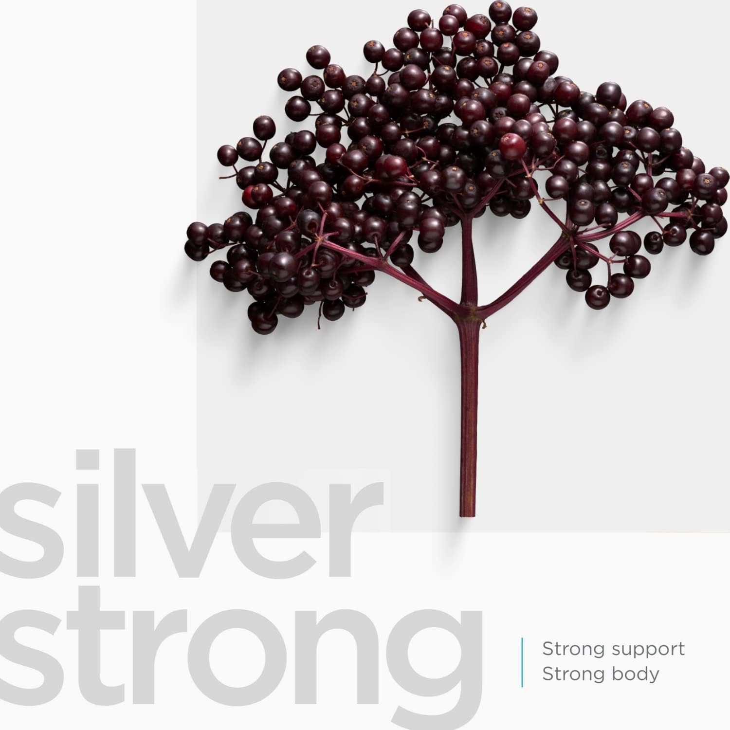 Sugar-Free Colloidal Silver Lozenges with Elderberry and Zinc for Immune Support and Throat Comfort - 21 Count