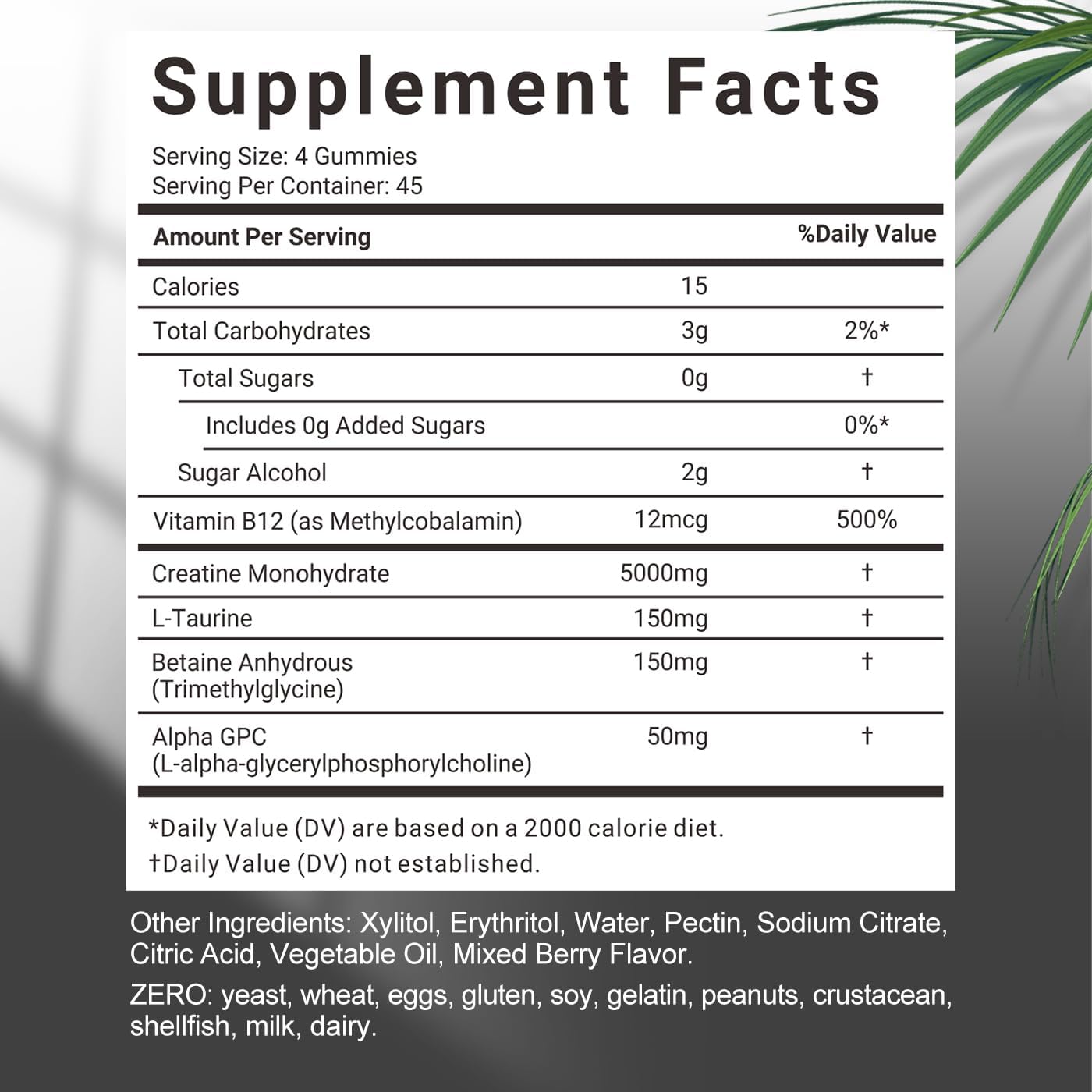Sugar-Free Creatine Gummies with L-Taurine, Alpha GPC, and Vitamin B12 for Men and Women
