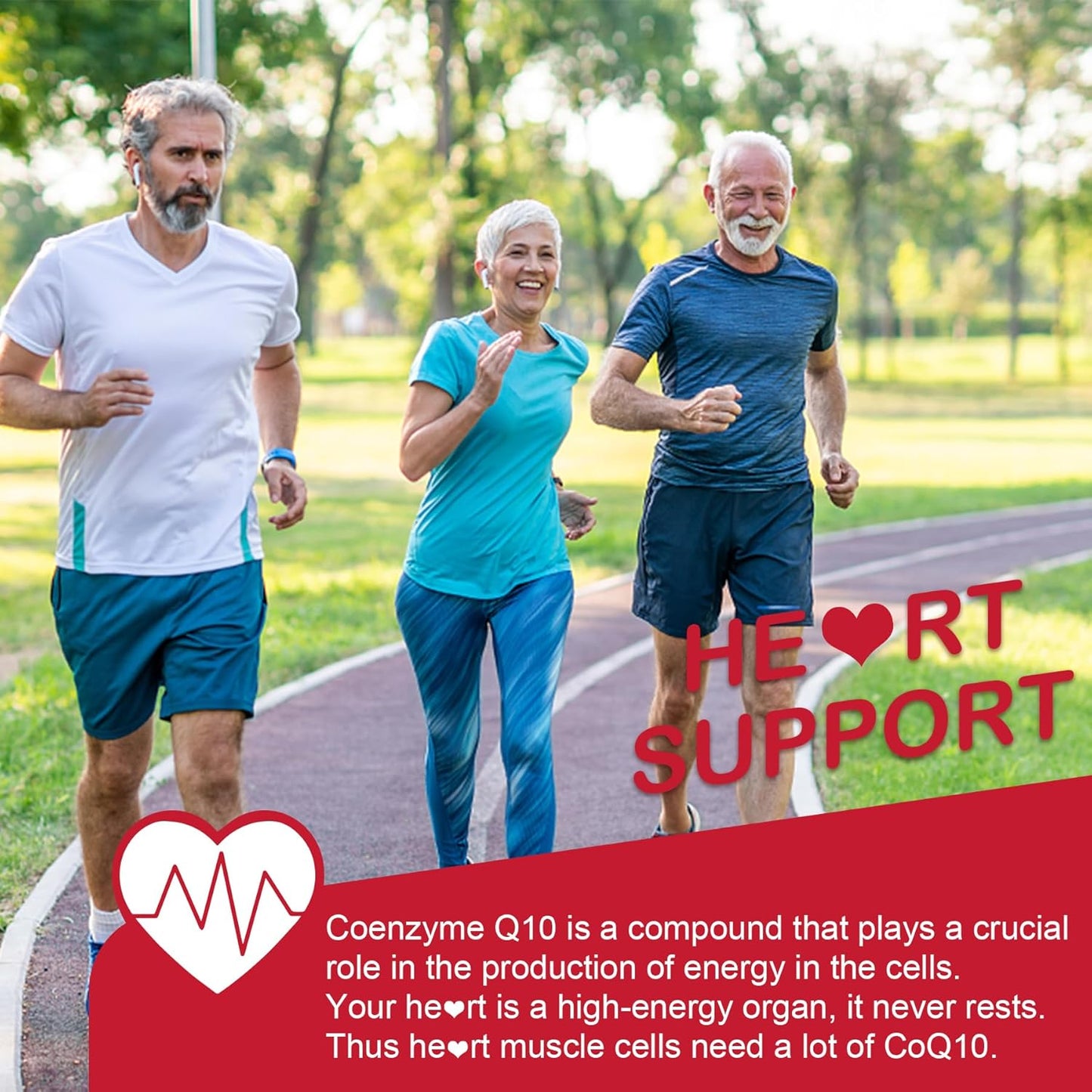 Sugar-Free Glucosamine Chondroitin MSM Gummies with CoQ10 - 120 + 60 Counts