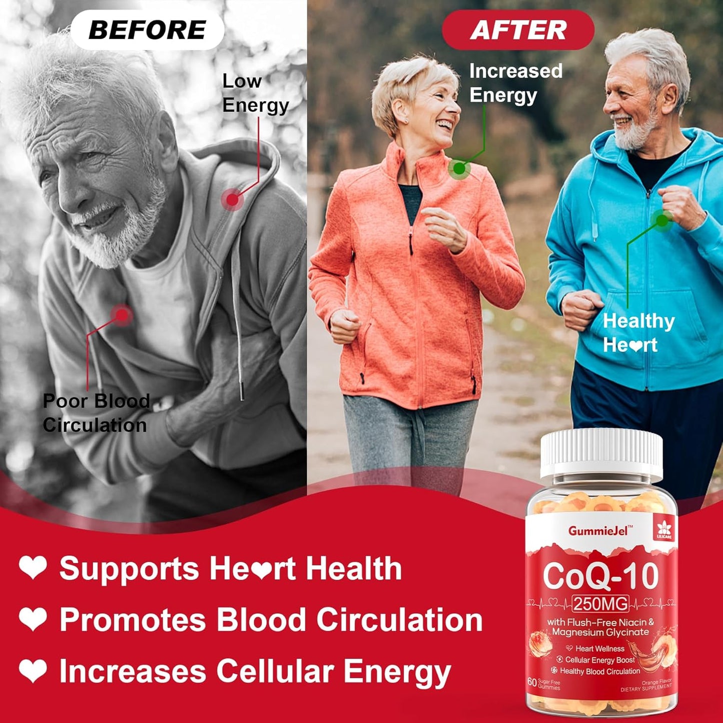 Sugar-Free Glucosamine Chondroitin MSM Gummies with CoQ10 - 120 + 60 Counts