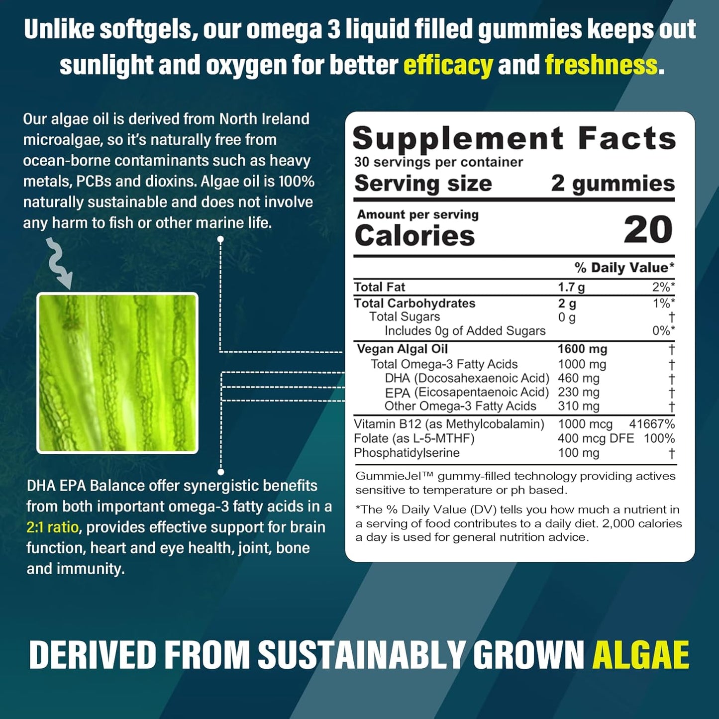 Sugar Free Grass Fed Colostrum Gummies & Vegan Omega 3 Gummies Bundle - 2 Pack & 1 Pack