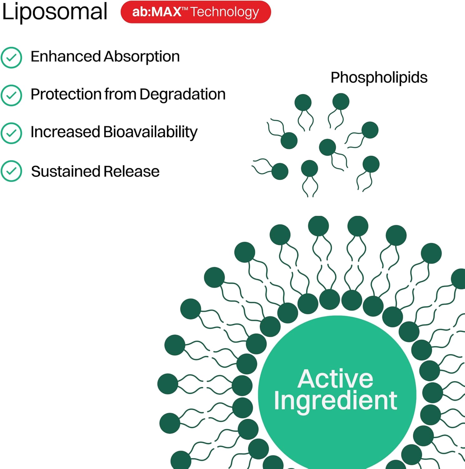 Sugar-Free Haroutine Liposomal Vitamin C Powder 500mg Packets - Immune Support & Antioxidant Supplement for Adults - Tropical Fruit Flavor - 30 Packets