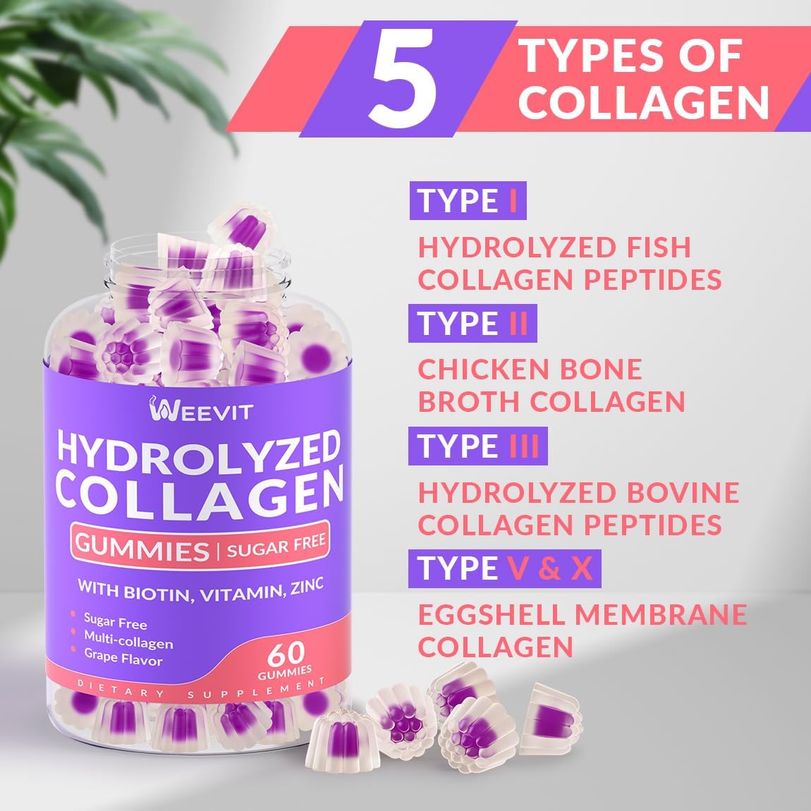 Sugar-Free Hydrolyzed Collagen Gummies for Women with Collagen Peptides, Biotin, and Vitamins for Hair, Skin, and Nails