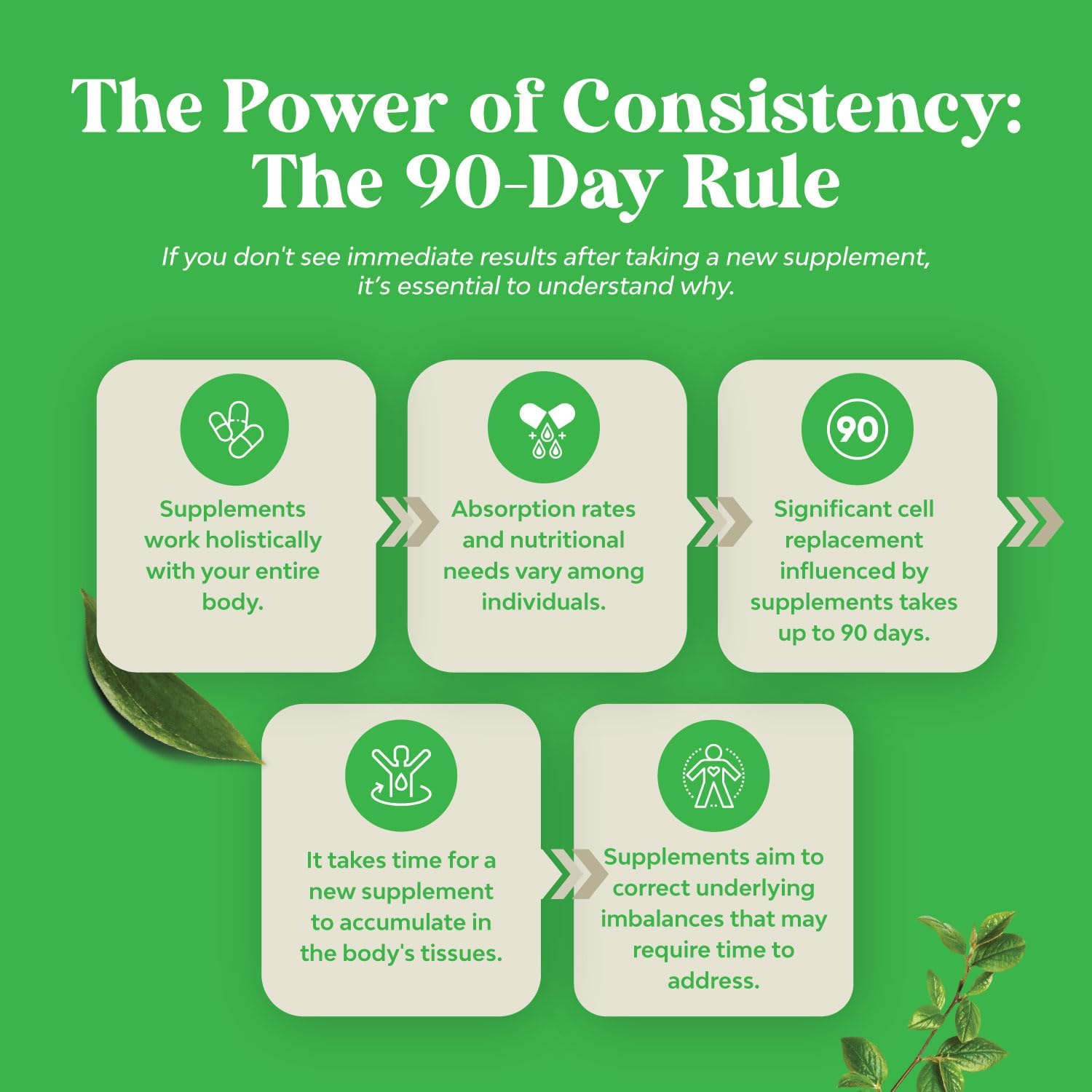 Sugar-Free Magnesium Glycinate Chewables with Vitamins D3, B6, & C - Vegetarian & Non-GMO - 90 Day Supply