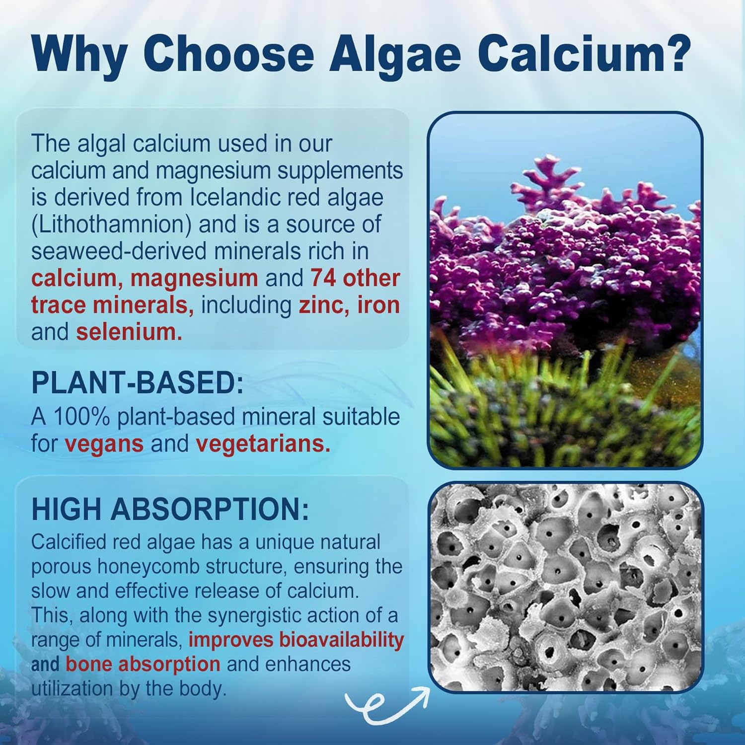 Sugar-Free Nevis Calcium Supplement Gummies with Algae Calcium Magnesium and CoQ10 - High Absorption Formula