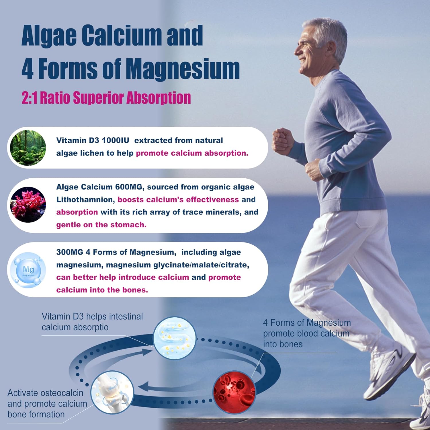 Sugar-Free Nevis Calcium Supplement Gummies with Algae Calcium Magnesium and CoQ10 - High Absorption Formula