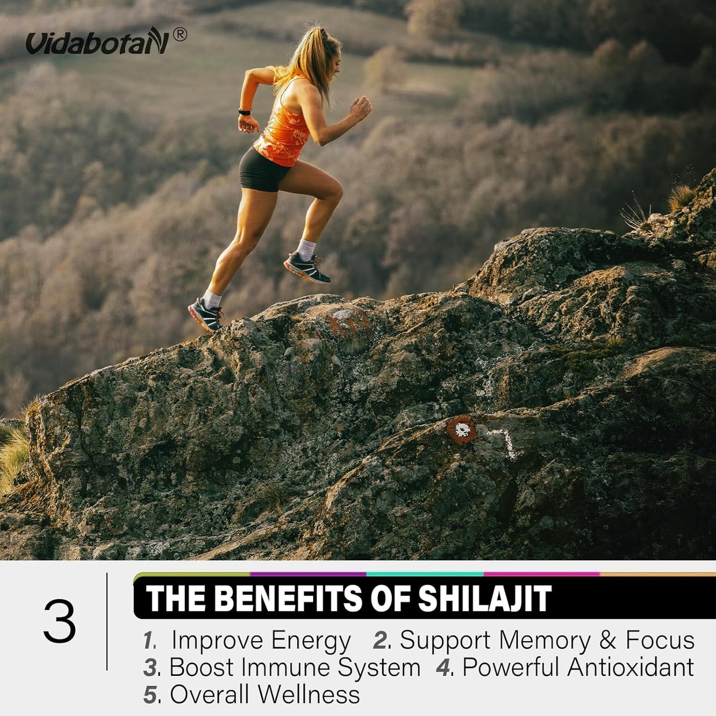Sugar-Free Shilajit Gummies 1000mg with Ashwagandha - Energy & Immunity Support - Mixed Berry Flavor - 120 Gummies