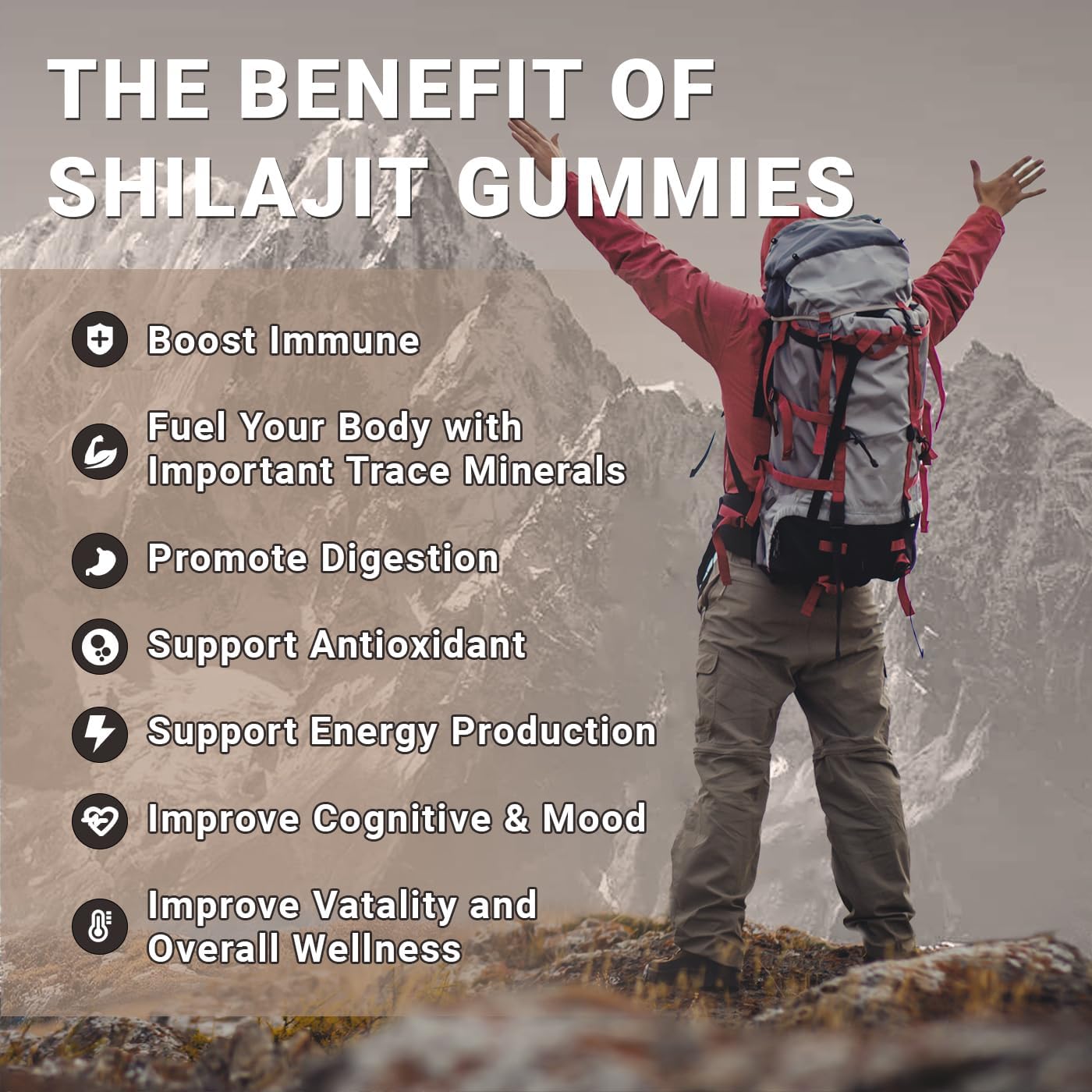 Sugar Free Wiszeen Shilajit Gummies with Black Seed Oil for Energy & Immunity, Himalayan Shilajit Gummy for Men & Women