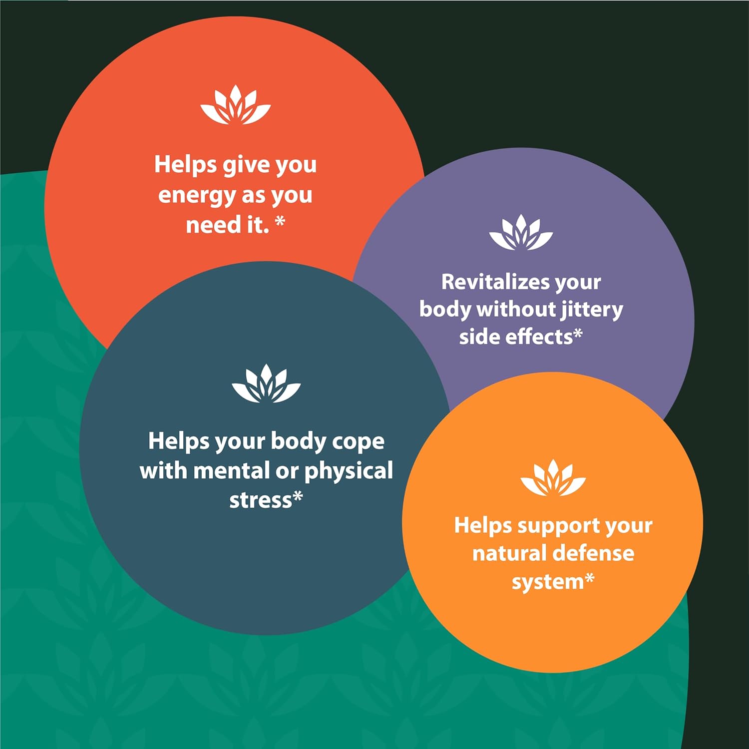 Sun Chlorella Eleuthero Root Extract Drink - Herbal Adaptogen & CGF Superfood - Gluten Free - 33.3oz