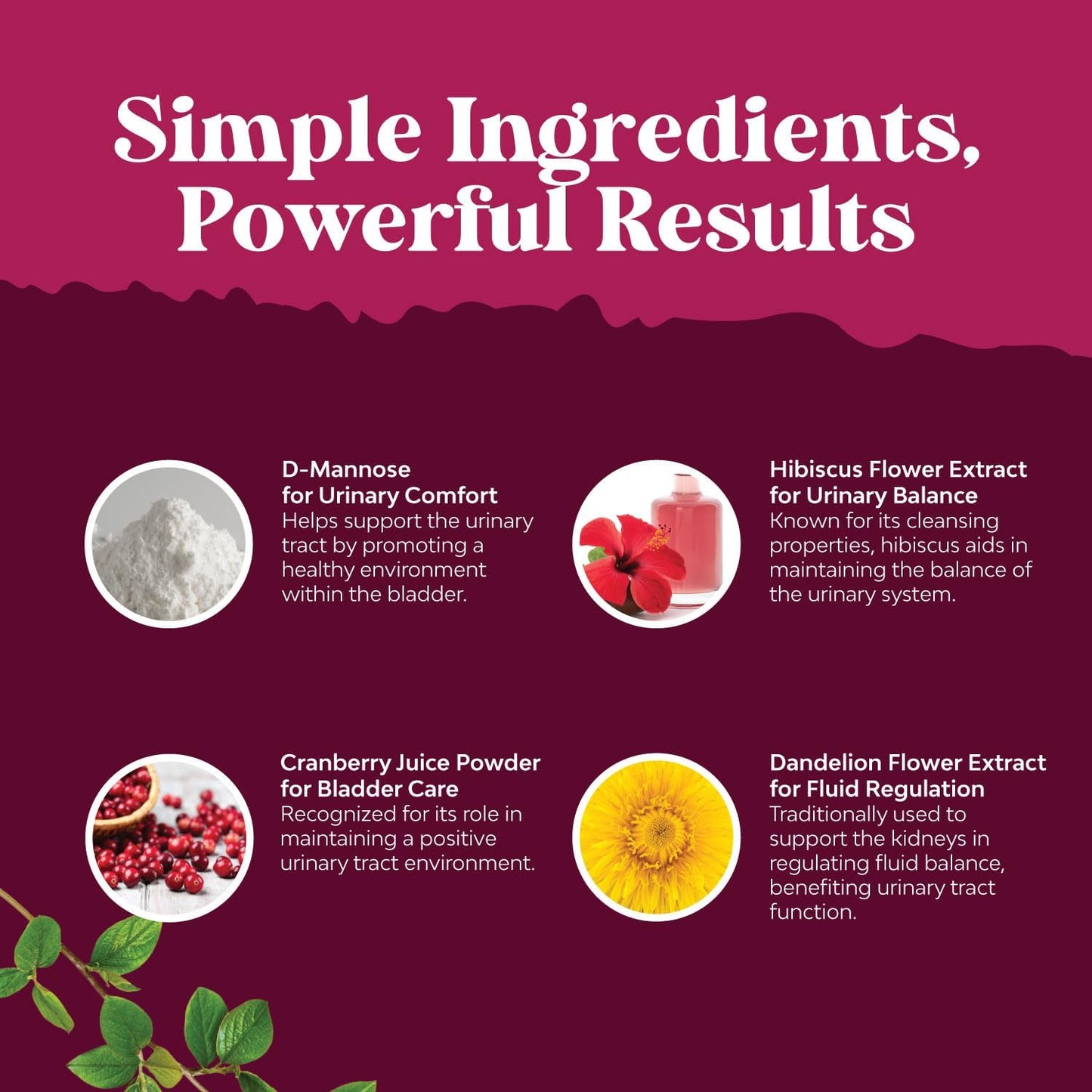 Super Concentrated Cranberry & Liver Cleanse Bundle - D Mannose Capsules for Women's Urinary Tract Health, Fast Acting 90ct - Herbal Liver Support Supplement.