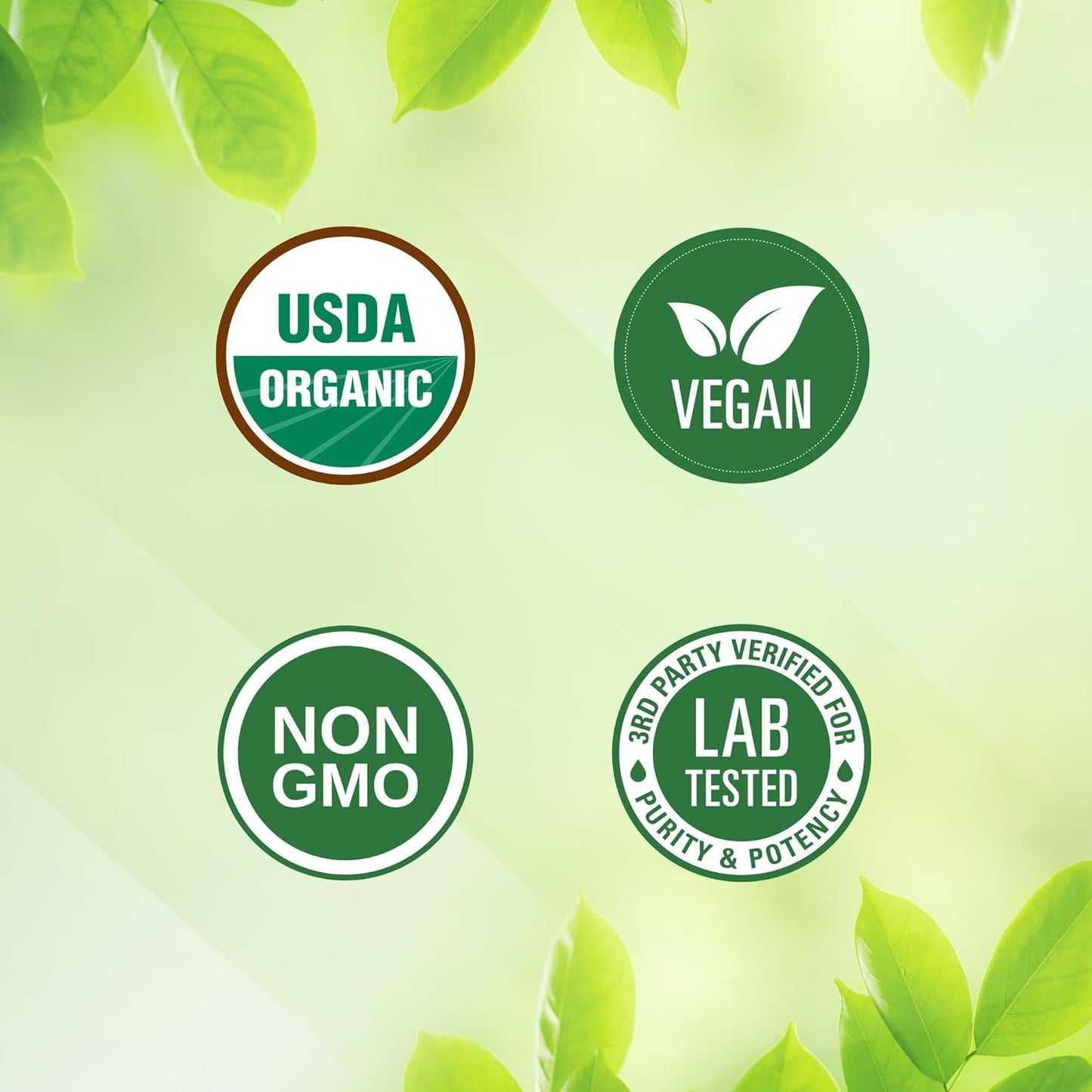 Super Greens & Choline Bundle | Organic Superfood Powder with Probiotics, Fiber & Choline Bitartrate for Cognitive Function & Energy Boost