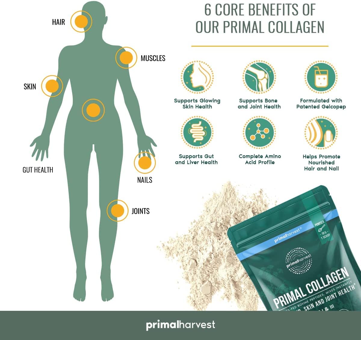 Super Greens & Collagen Powder Bundle for Hair, Skin, and Nails - Primal Harvest Men and Women Superfood Supplements