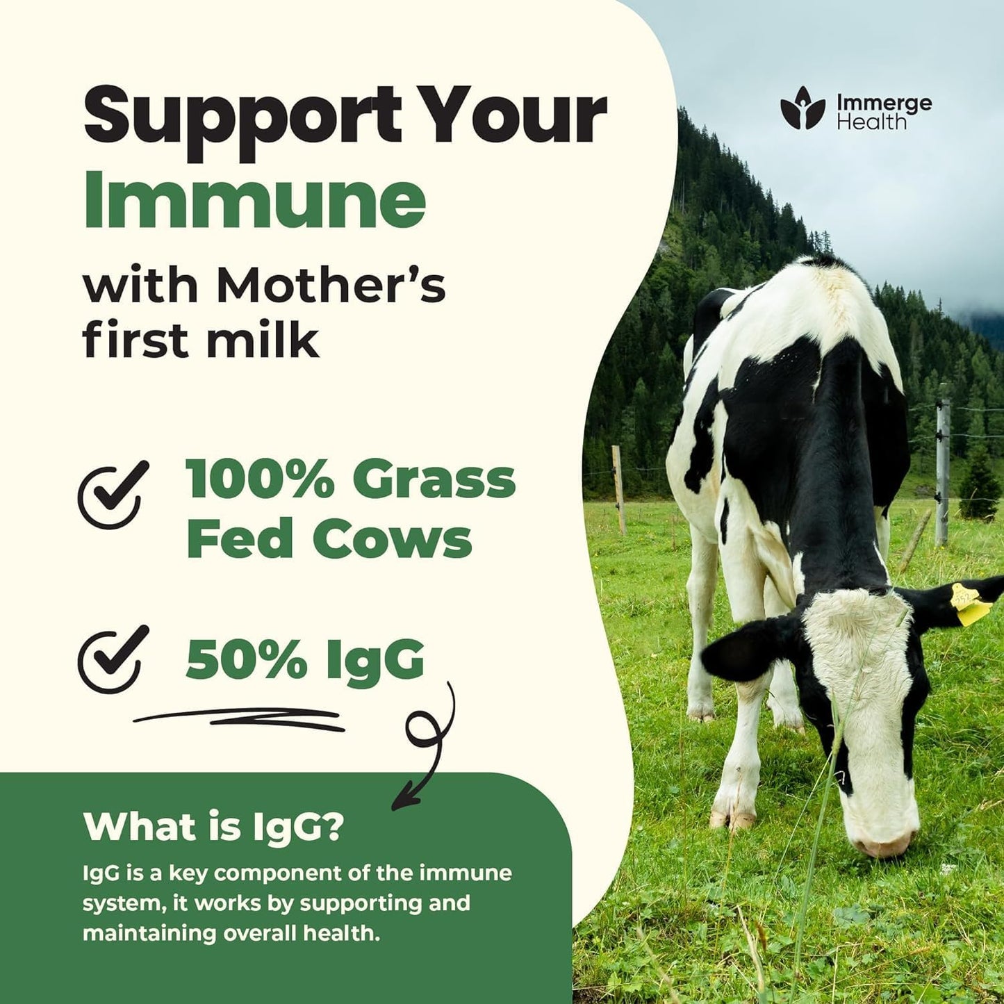 Super MOO Grass Fed Bovine Colostrum Powder for Bloating, Immune Support, Energy, Gut Health, Hair, Skin, Nails - 30 Servings - BoostGo Australia