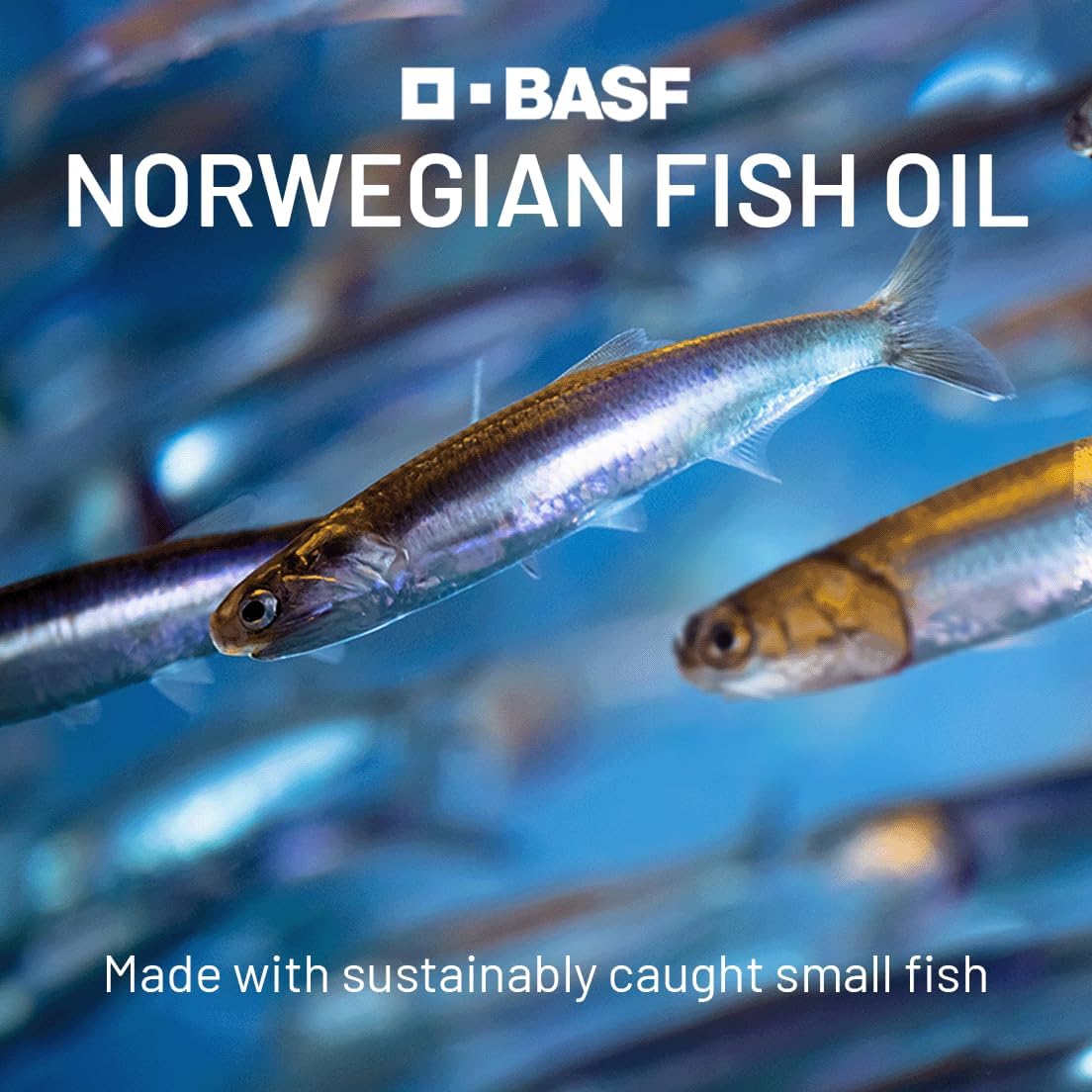 Super rTG Omega 3 Norwegian Fish Oil with CoQ10 for Heart Health & Antioxidant Support - 180 Softgels, 2000 mg, Vitamins D & E - CGMLABS