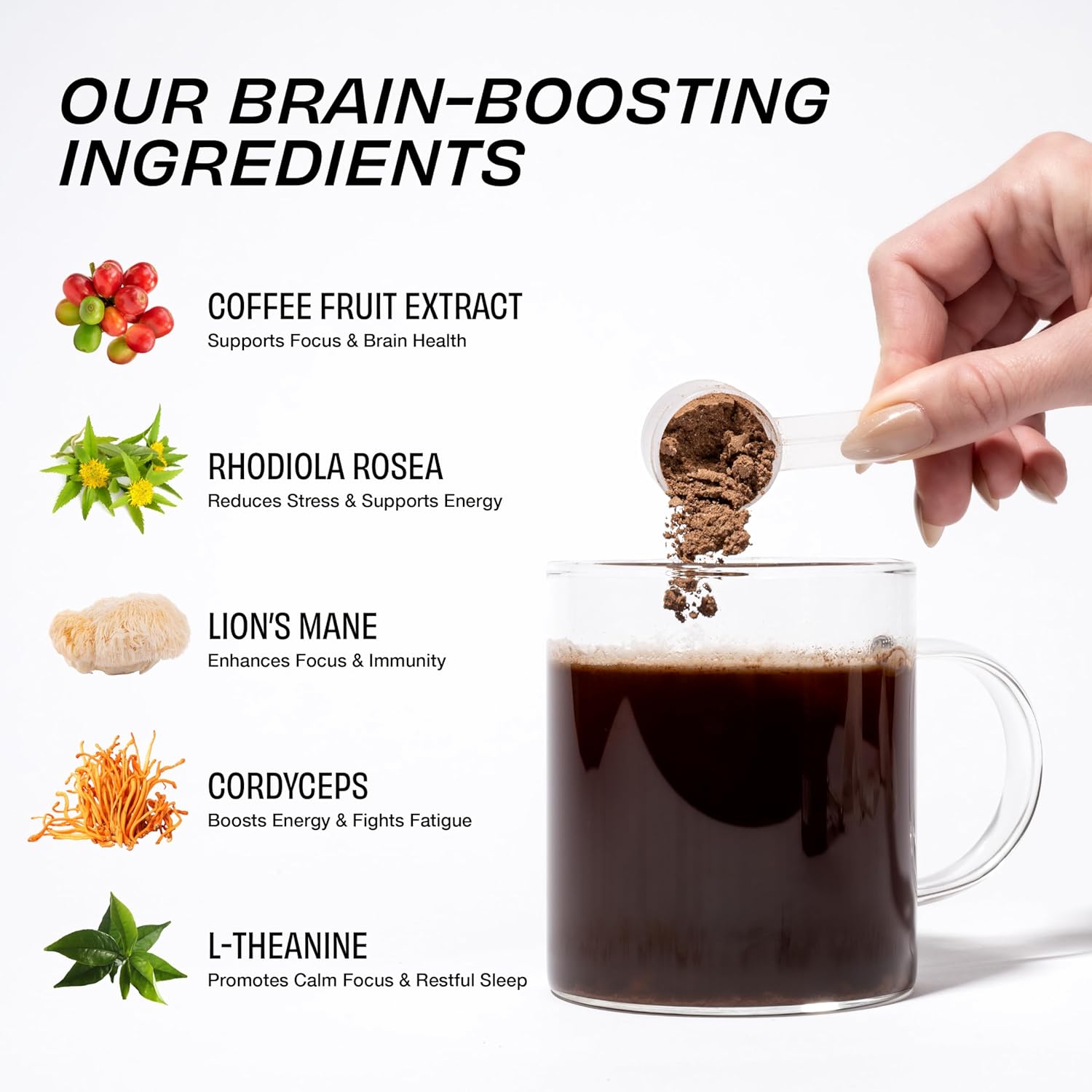 Superfood Mushroom Coffee Enhancer - Lion's Mane, Rhodiola, Cordyceps, Cacao - Caffeine & Sugar Free - 30 Servings