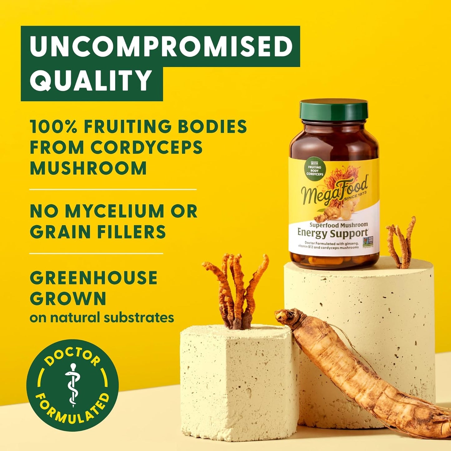 Superfood Mushroom Energy Support Supplement - Cordyceps Mushroom with Methylated B12 & Panax Ginseng - Gluten-Free, Vegan - 60 Capsules