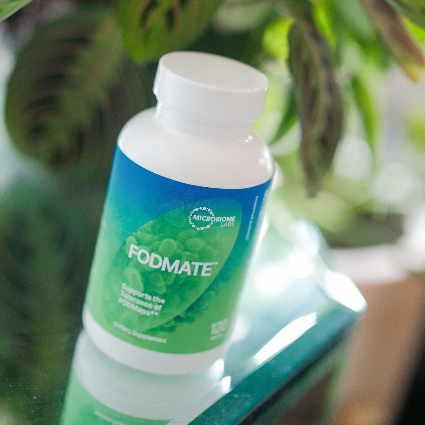 Support Digestive Health with Microbiome Labs FODMATE Enzyme Formula