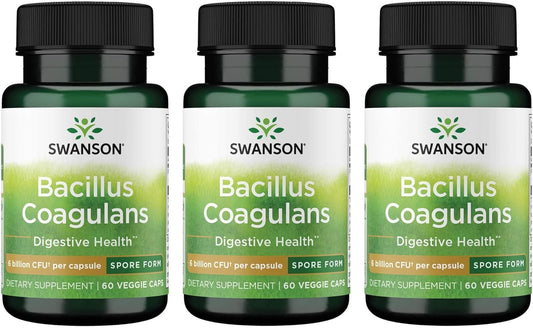 Swanson Bacillus Coagulans Probiotic Supplement - 6 Billion CFU for Digestive & Gut Health - 60 Veg Caps