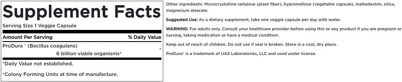 Swanson Bacillus Coagulans Probiotic Supplement - 6 Billion CFU for Digestive & Gut Health - 60 Veg Caps