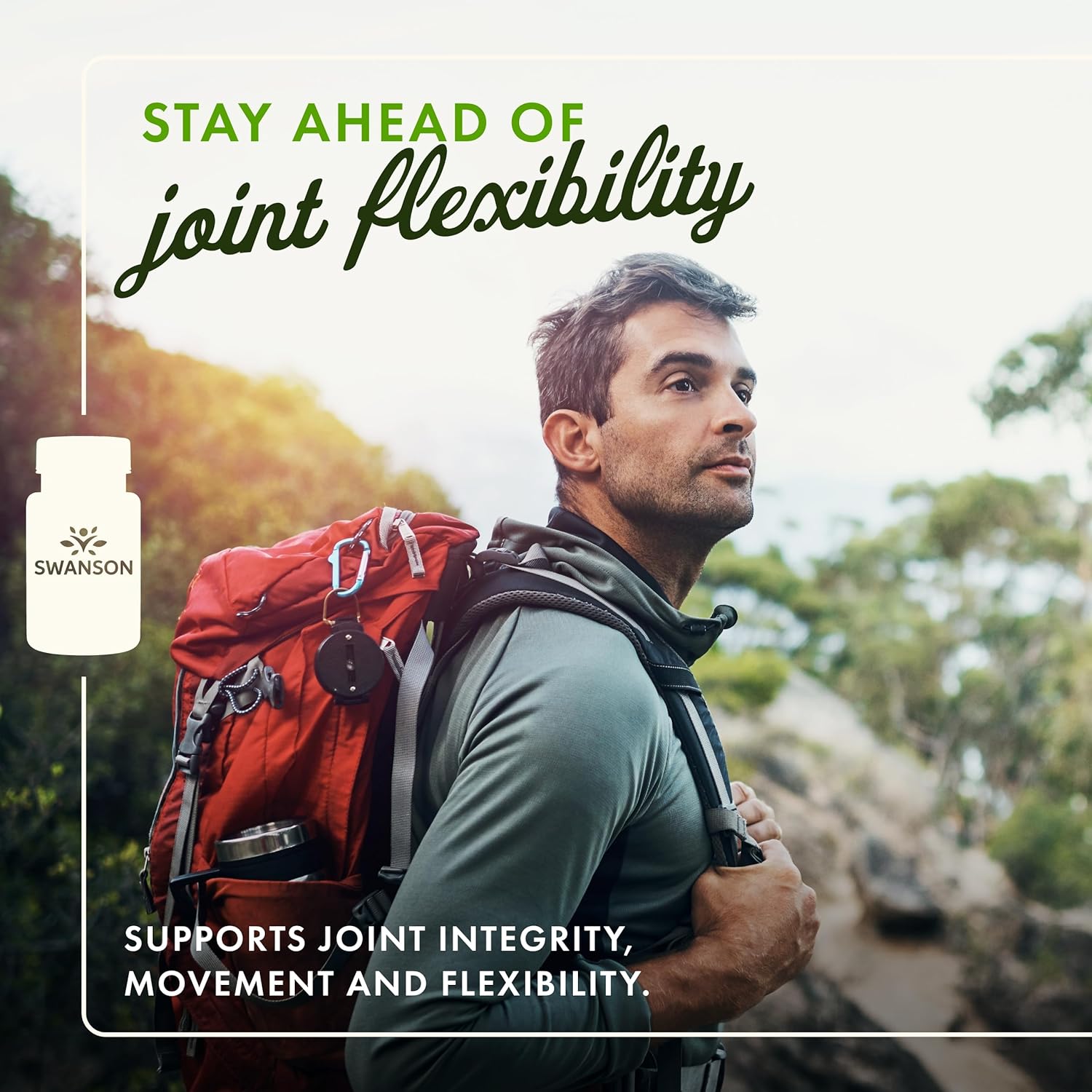 Swanson Boswellia Serrata Resin Capsules - Double Strength Ayurvedic Herb for Joint Flexibility and Mobility Support (60 Capsules, 800mg)