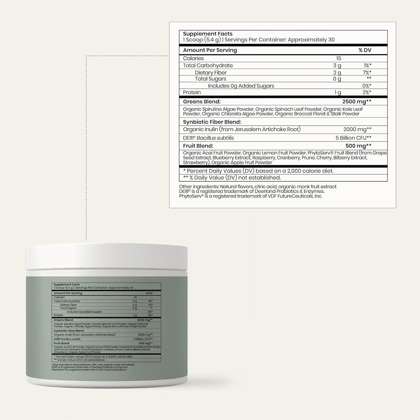 Synbiotic Powdered Greens + Antioxidants for Immune & Digestive Health - Gluten & Soy-Free Superfood Powder - Safe for Pregnancy & Breastfeeding - 5.6 oz