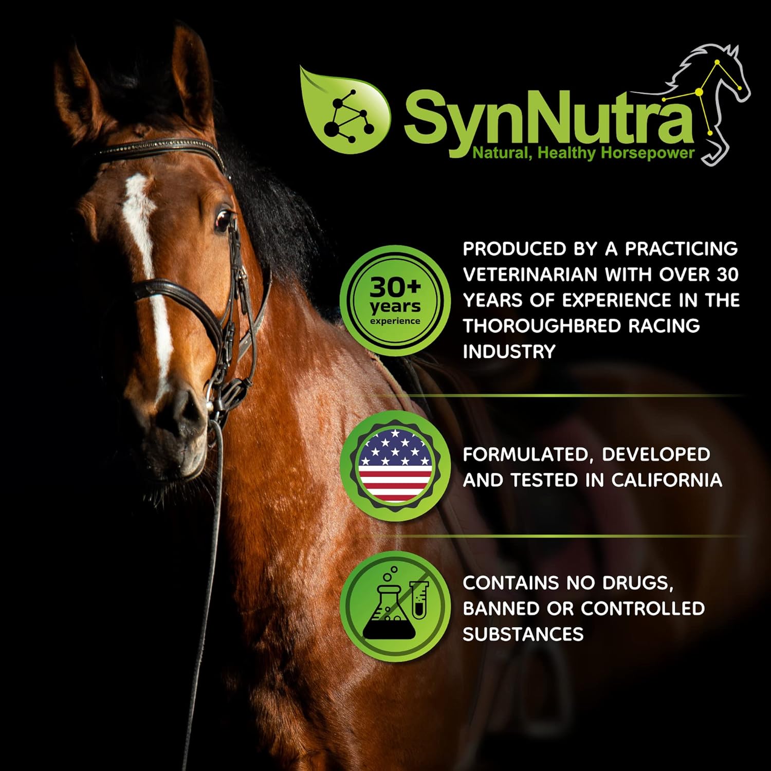 SynNutra Equine SynChill Horse Calming Gel - Natural Supplement for Peak Performance - Veterinarian Approved - 12-Pack
