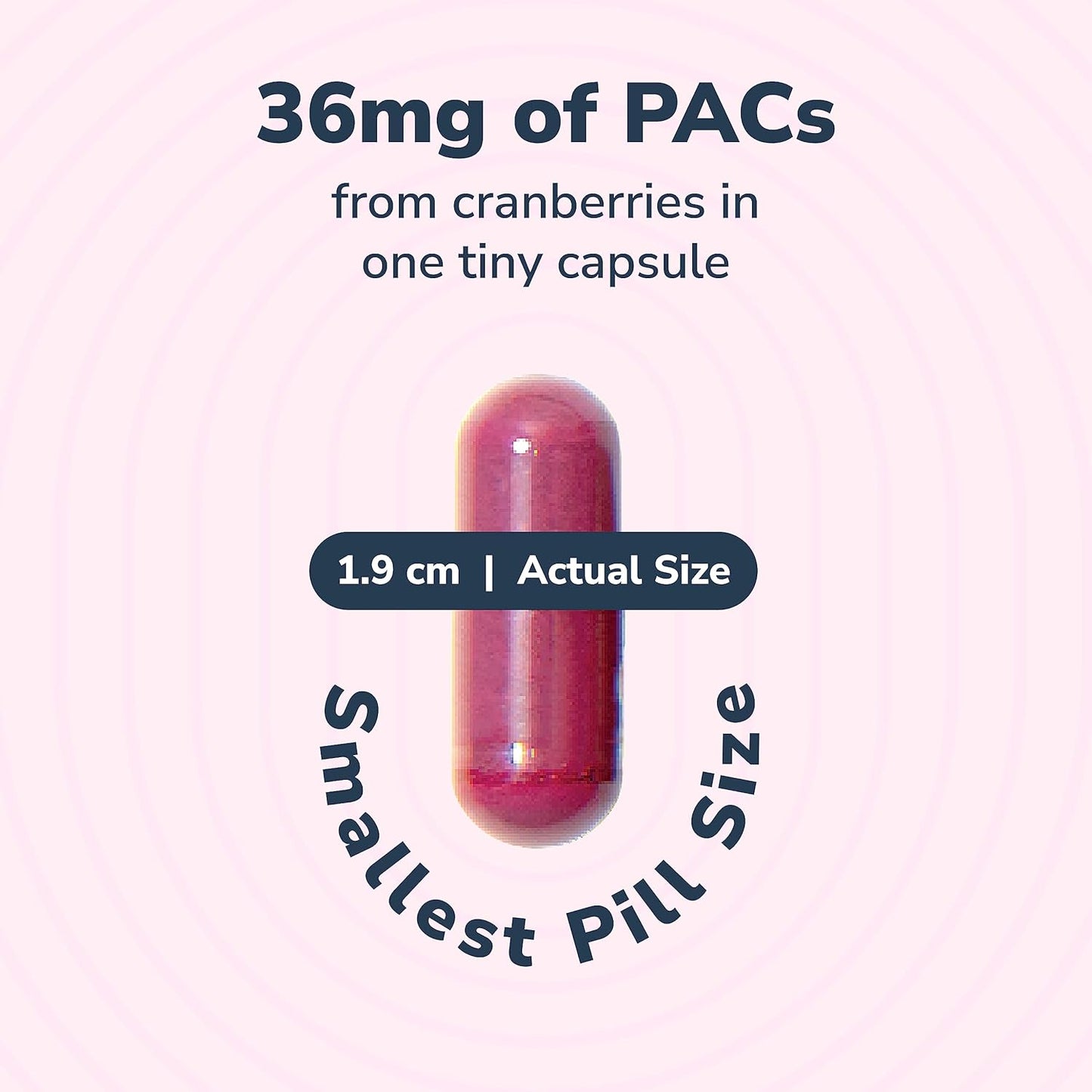 Szio+ 10% Bundle Utiva 36PAC Power Bundle - 30 Days Supply - Cranberry PACs & Probiotics - Locally Produced