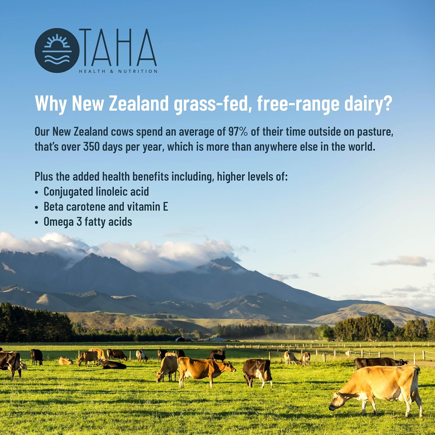 Taha Health & Nutrition Whey Protein Isolate - Unflavored, 30g Protein, 7.9g BCAAs, Grass-Fed, Gluten-Free - 2LB, ~26 Servings