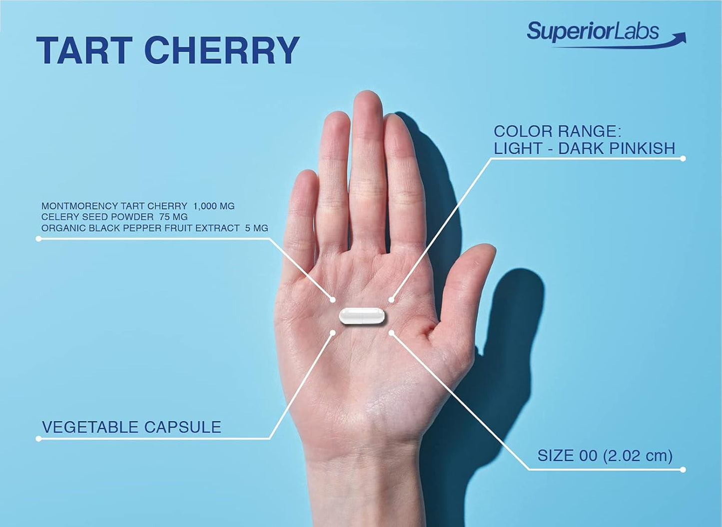 Tart Cherry Extract Capsules - 1000mg, 60 Veg Caps - Supports Uric Acid Balance - Enhanced Absorption with Celery Seed & Black Pepper